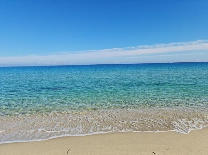 Capra Scorsa - Appt Vue Mer Et Piscine Partagee Belgodère Екстериор снимка